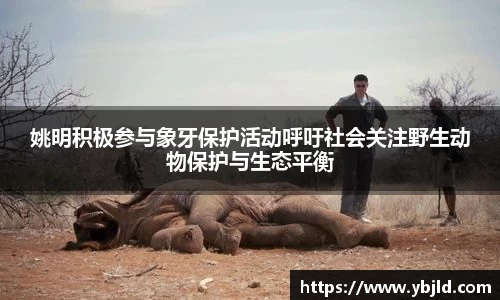 你我一起成长